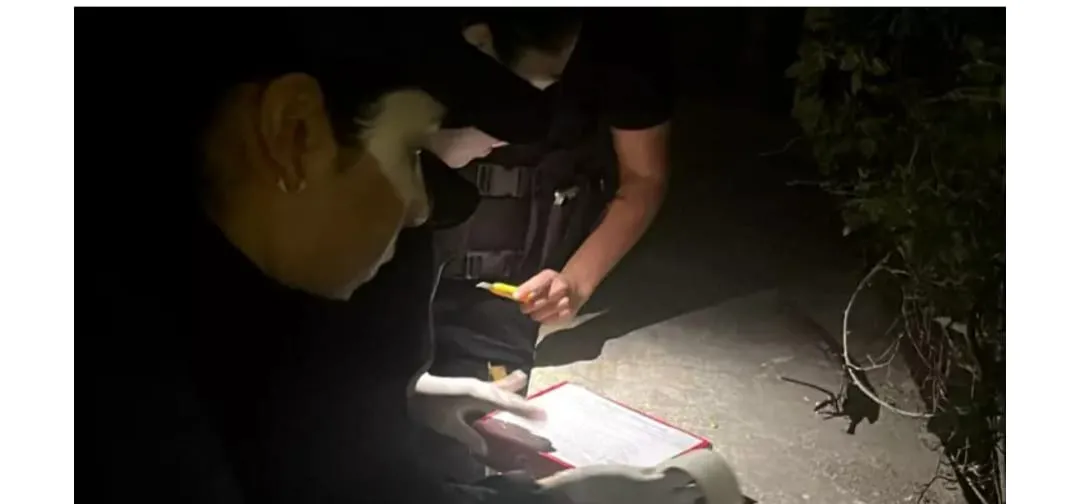 IMG-20251013-WA0011(1)