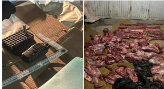 9ef7cbb6-6c17-41c8-aa35-53388fe0acc0