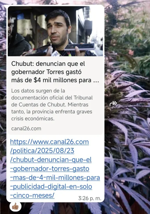 539373181_752668777379711_3137675797386354271_n